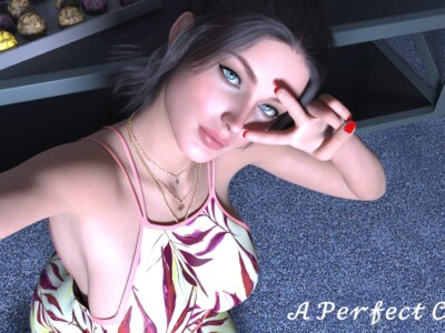 A Perfect Couple game cover image