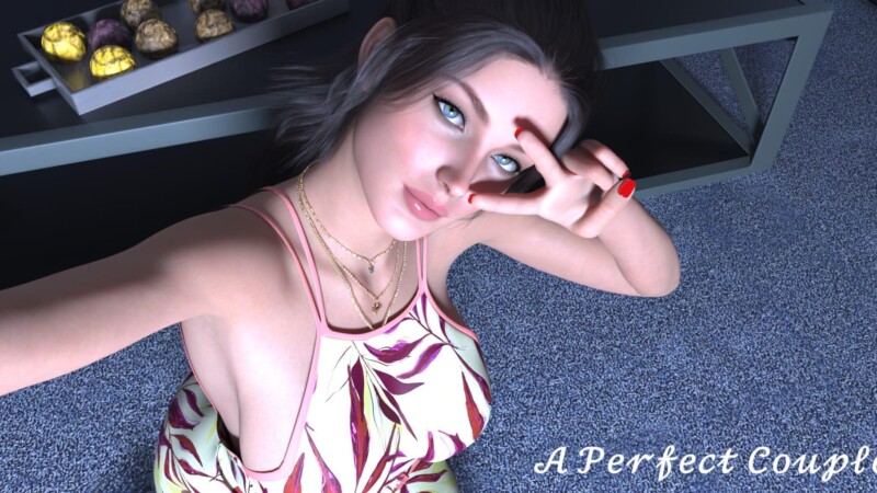 A Perfect Couple game cover image