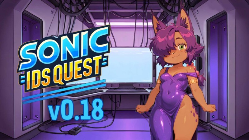Sonic IDS Quest game cover image