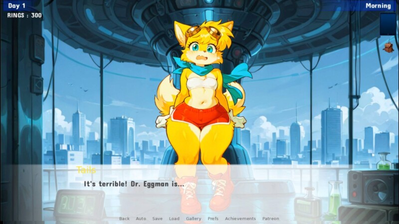 Sonic IDS Quest game cover image