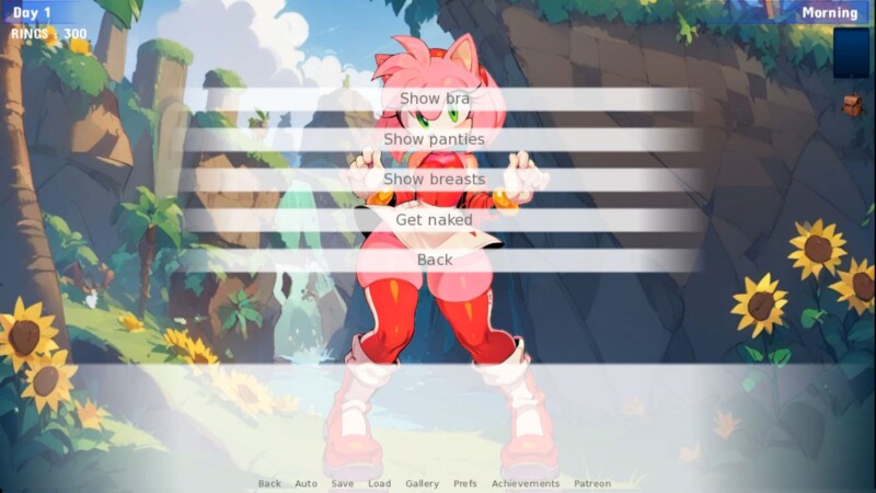 Sonic IDS Quest game cover image